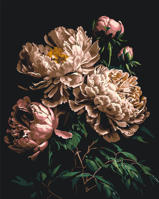 Malowanie po numerach 40x50 cm Kwiaty - Piwonie na ciemnym tle LW 2003