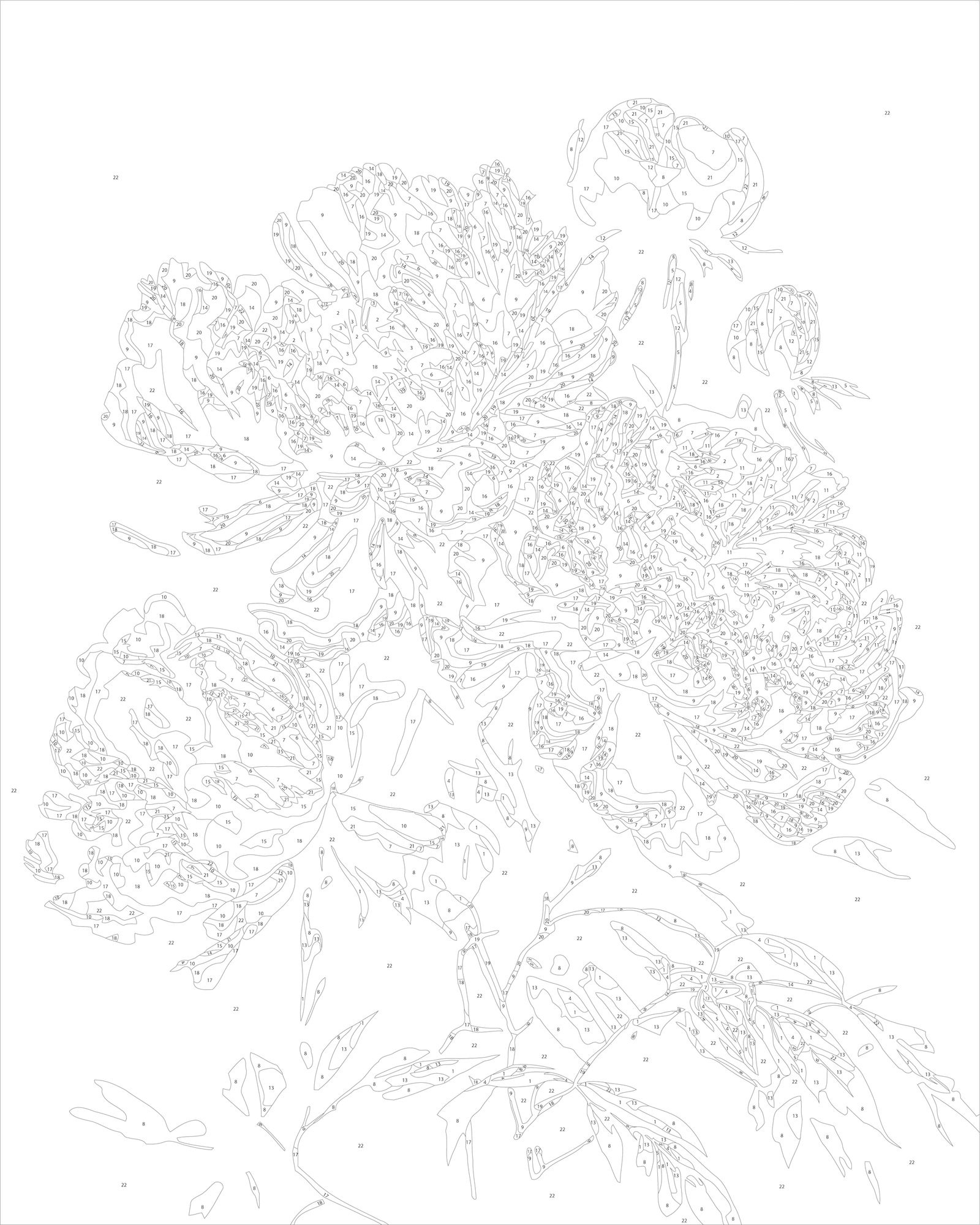 Malowanie po numerach 40x50 cm Kwiaty - Piwonie na ciemnym tle LW 2003