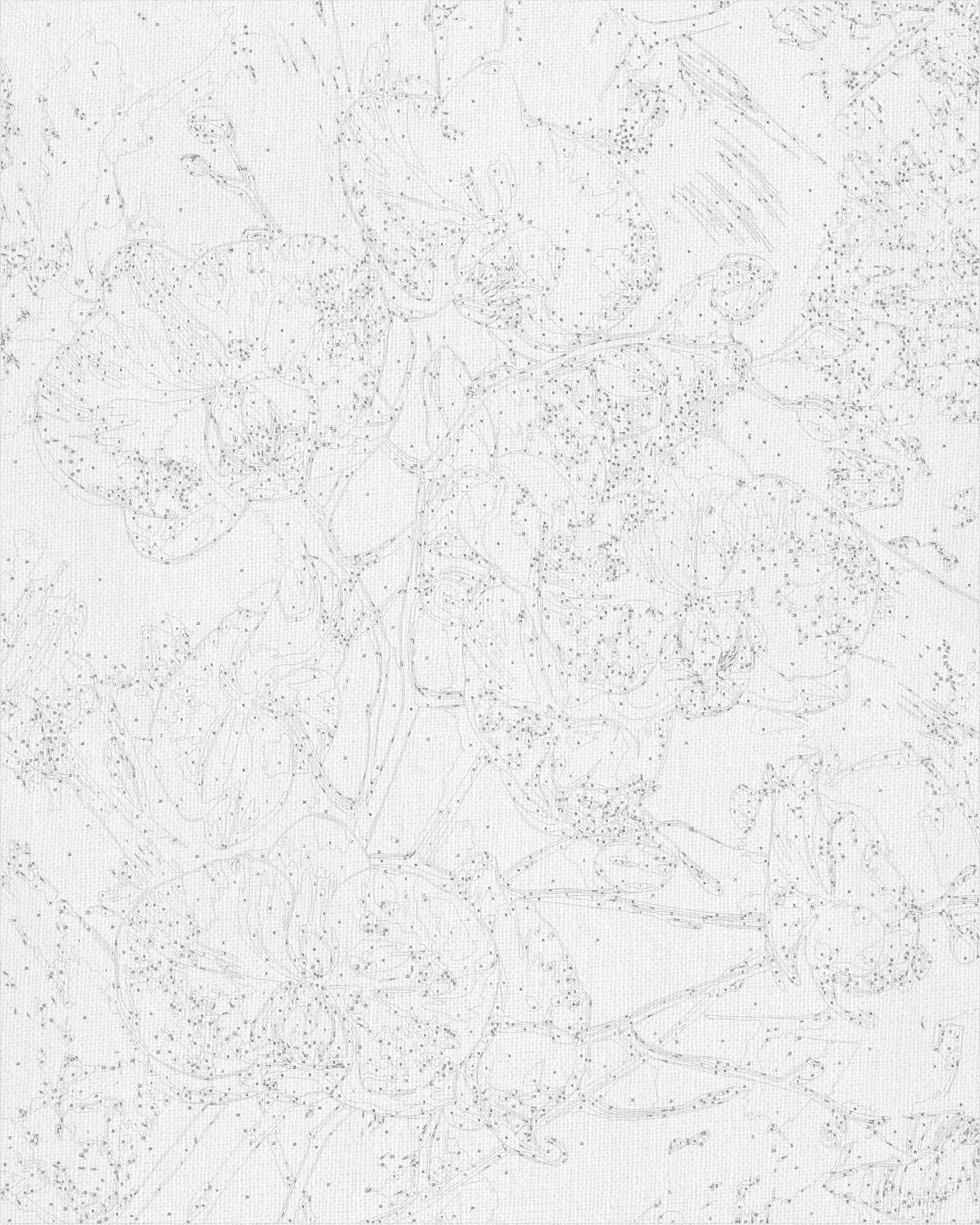 Malowanie po numerach 40x50 cm Kwiaty. Kwiat orchidei na LW 30431
