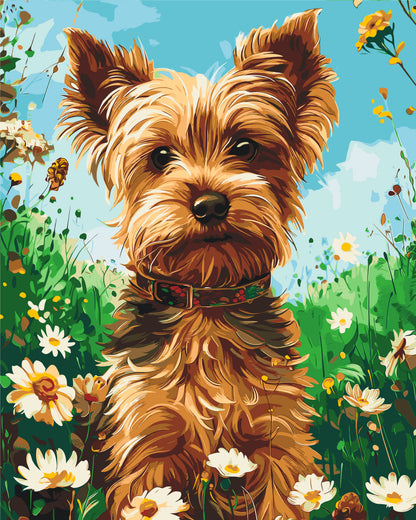 Malowanie po numerach 40×50 cm – Yorkshire terrier – Zwierzęta – LW 30470