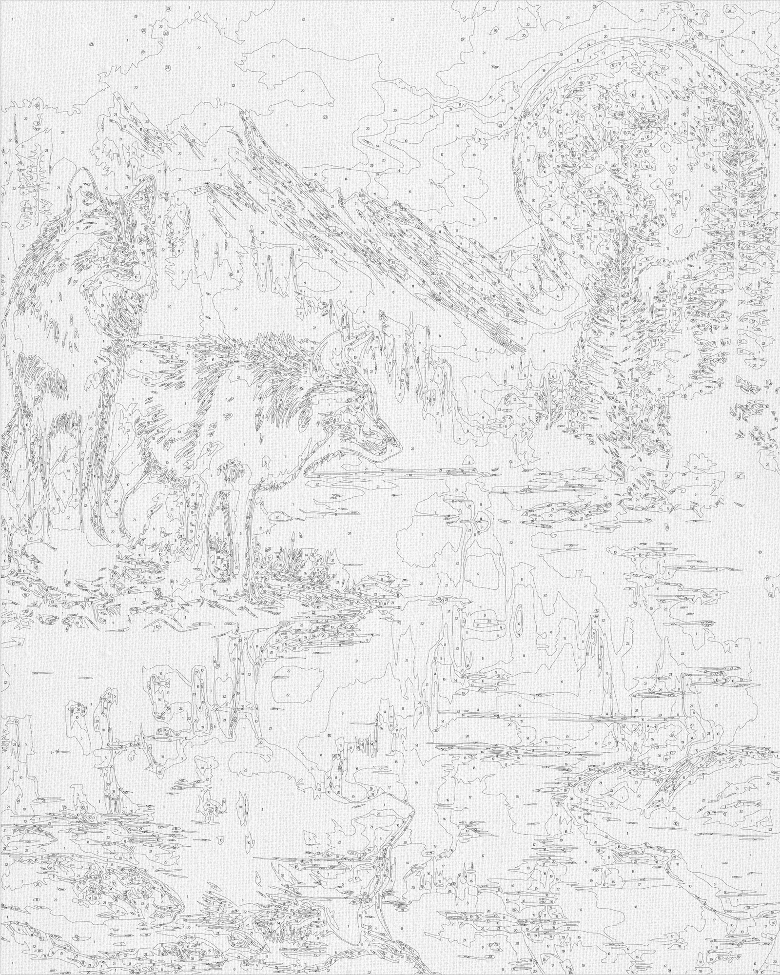 Malowanie po numerach 40x50 cm Zwierzęta. Para wilków nocą LW 30780