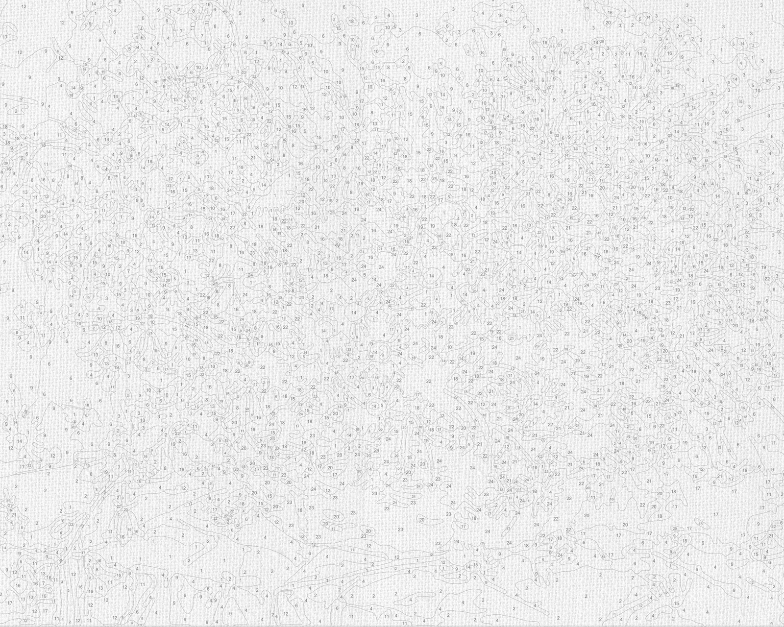 Malowanie po numerach 40x50 cm – Kwiaty. Bukiet margerytek LW 31500
