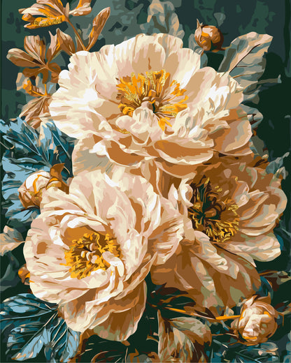 Malowanie po numerach 40x50 cm Kwiaty - Beżowe piwonie LW 3159-01