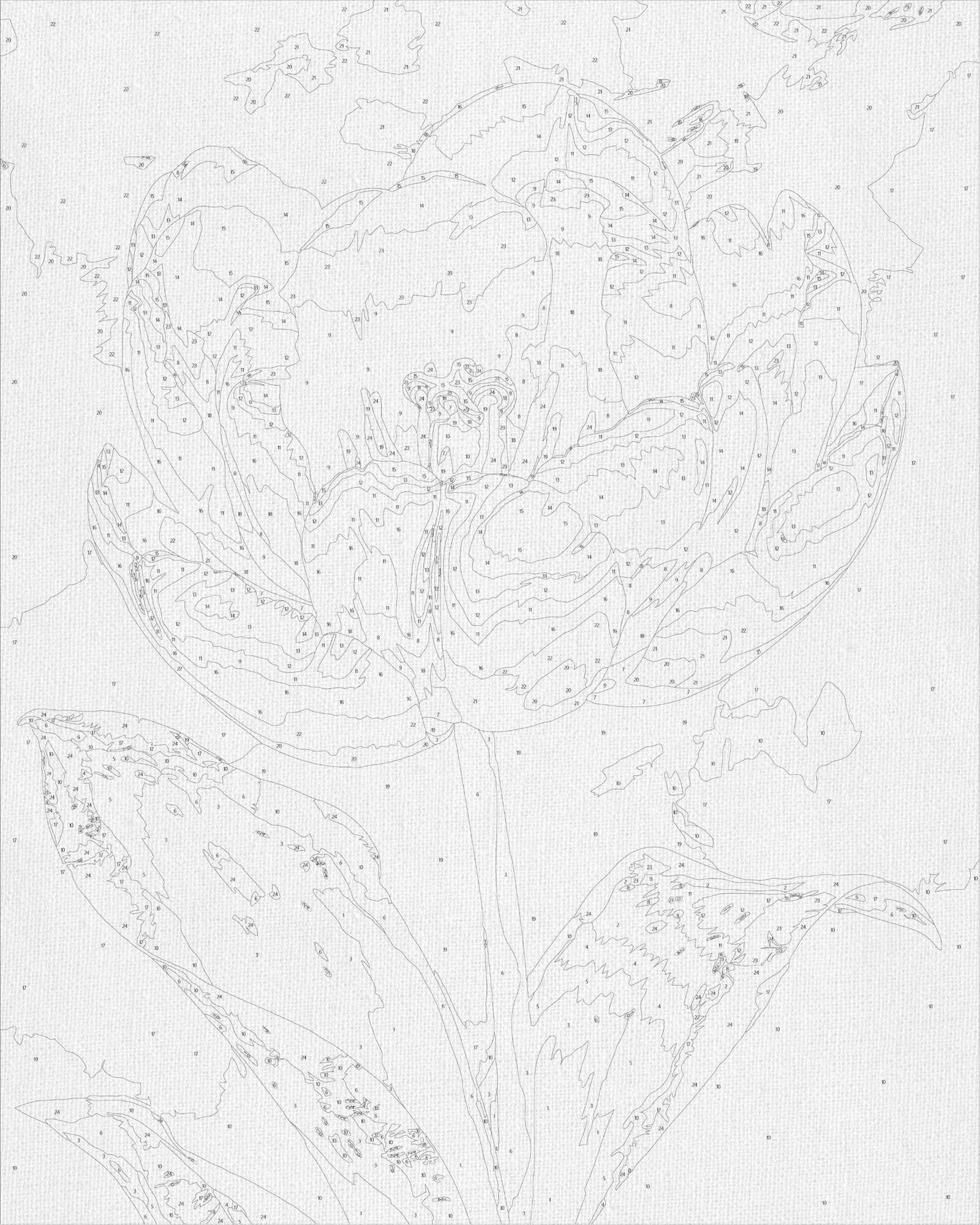 Malowanie po numerach 40x50 cm Kwiaty. Biała piwonia (metalik) LW 3305