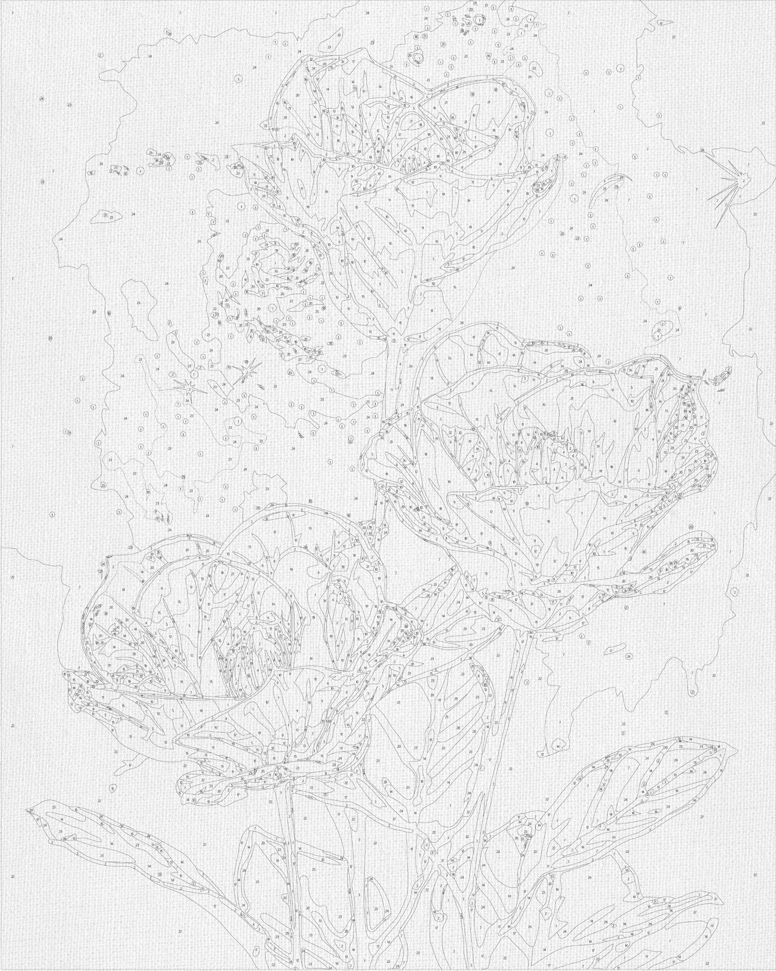 Malowanie po numerach 40x50 cm Kwiaty. Kosmiczne astry LW 3337
