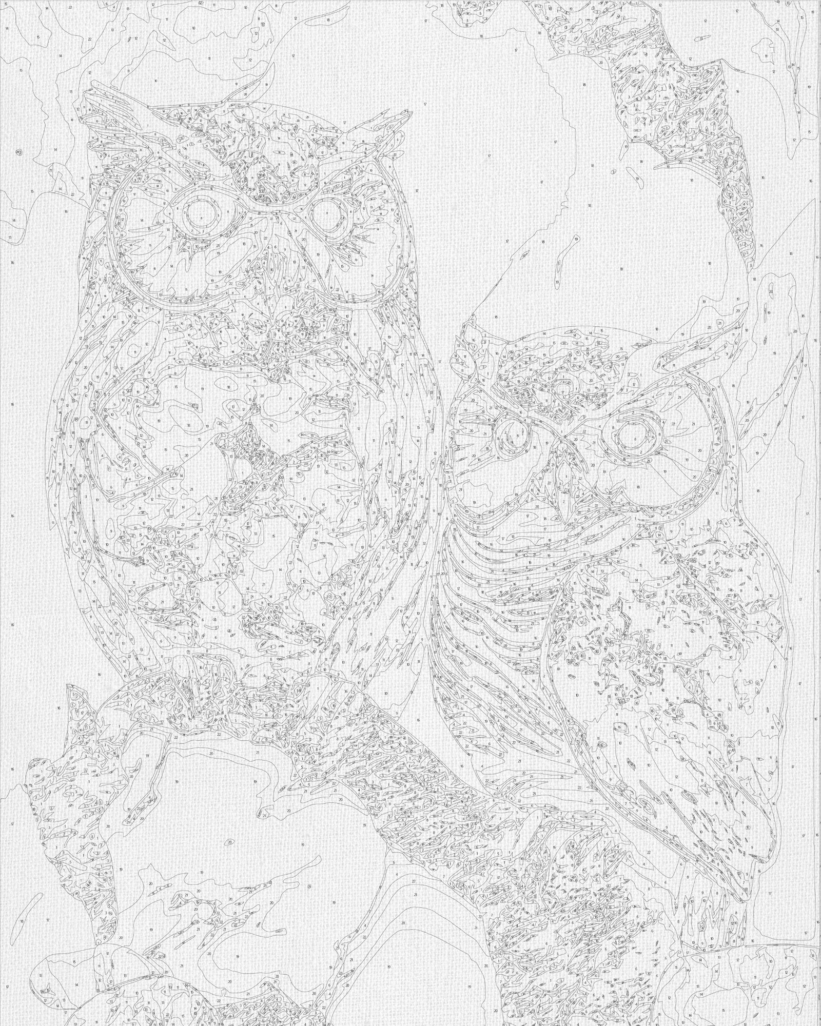 Malowanie po numerach 40x50 cm Zwierzęta. Dwie sowy (metalik) LW 3405