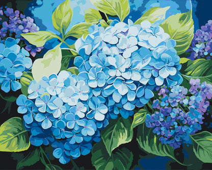 Malowanie po numerach 40x50 cm – Kwiaty. Niebieska hortensja LW 3489